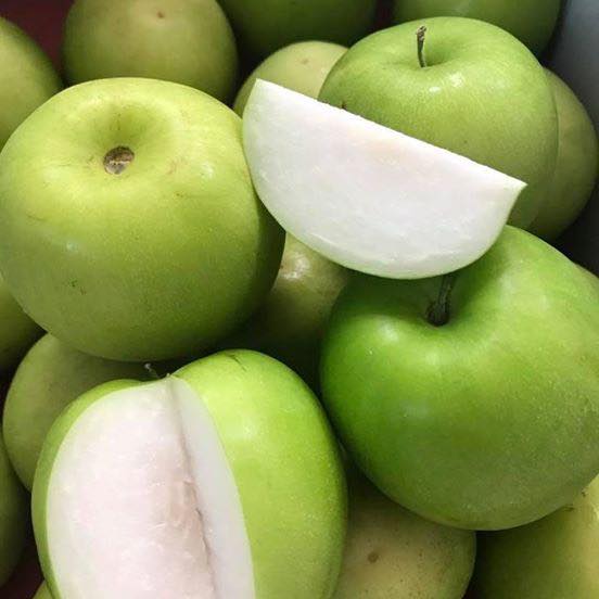 Hình ảnh Táo đại